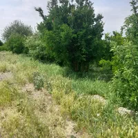 باغ اناری سند دار فروش یا معاوضه
