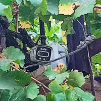 نصاب حرفه ای دوربین