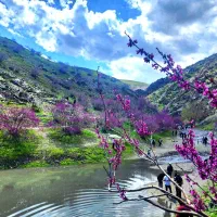 تور  یکروزه دره ارغوان