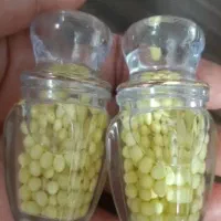 خاویار حلزون جهت تراپی|خزنده|سنندج, |دیوار