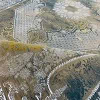 سپیدار رنگ موکا جدید|فرش|یزد, |دیوار