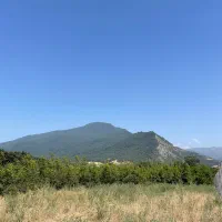 زمین-تفریحی-باغی