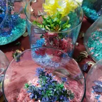 انواع تنگ به صورت عمده و تکی