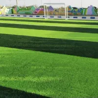 کف پوش، نصب و کاشت چمن  وخدمات کشاورزی|خدمات باغبانی و درختکاری|آبادان, |دیوار