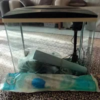 آکواریوم ماهیران|ماهی|پرند, فاز ۶|دیوار