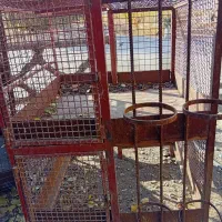 قفس مرغ و خروس