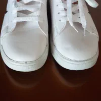 اسپرت|کیف، کفش، کمربند|فسا, |دیوار