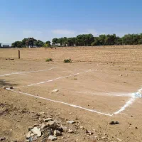 زمین-جامغازه-53متری-خیابان-داوری