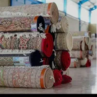 قالی شویی شهر ما