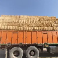 فروش پوشال یا سیفال برنج و کاه گندم|عمدهفروشی|یزد, |دیوار