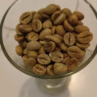 دان قهوه سبز