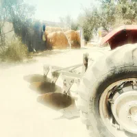 کار شخم|خدمات باغبانی و درختکاری|بیلوار, |دیوار