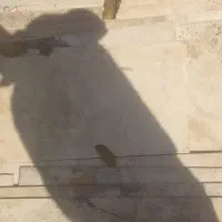 سنگ نما|مصالح و تجهیزات ساختمان|کرج, شهرک امام رضا (ع)|دیوار