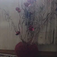 چراغ خواب