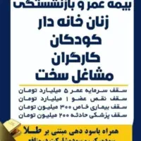 انواع بیمه رو برات قسطی صادر می‌کنیم|خدمات مالی، حسابداری، بیمه|کازرون, |دیوار