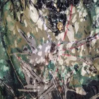 لباس مجلسی ۳۰۰هزار|لباس|هشتگرد, شهرک ارم غربی|دیوار