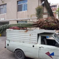 حمل بار باوانت