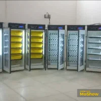 نمایندگی دستگاه جوجه کشی ' میناب|لوازم جانبی حیوانات|میناب, |دیوار