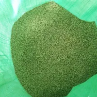 دویست و سی کیلو گندم بوجار شده تمیز مناسب بذر