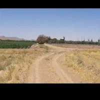 فروش زمین کشاورزی ۸هزارمتری مزرعه مورچه خورت|فروش دفتر صنعتی، کشاورزی، تجاری|شاهین‌شهر, مورچه خورت|دیوار