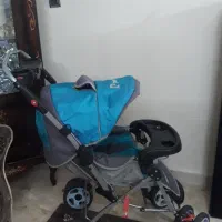 کالسکه پیر کاردین اصل