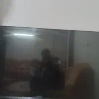 تلویزیون 43 دوو