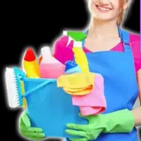 شرکت نظافتی یگانه