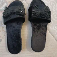 دمپایی مجلسی وپوتین