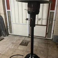 هیتر قارچی