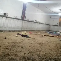 کاشی کاری|خدمات پیشه و مهارت|چمران, |دیوار