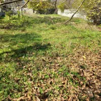 زمین روستائی|فروش زمین و ملک کلنگی|زیرآب, |دیوار