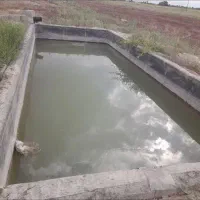 باغ