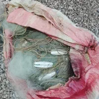 تور 24میل 26میل