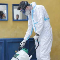 سمپاشی ساس سوسک و سم پاشی موش