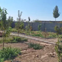 فروش زمین به قیمت کاسبی