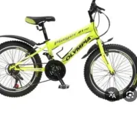 دوچرخه. پرسرعت خوش رکاب. ویوا