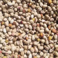 خرید پسته پوک وگو وروابی ...