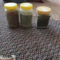 فروش گیاهان دارویی خوراکی طبیعی ارگانیک