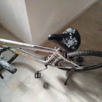دوچرخه