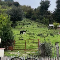 اجاره ویلا پای کوه|اجارهٔ کوتاهمدت ویلا و باغ|شاندرمن, |دیوار