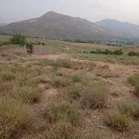 زمین سربیژن