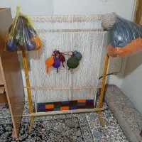 دار قالی با‌نخ و ابزار