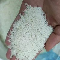 یکبار امتحان کنی ضرر نداره/برنج کمیاب آستانه/زرددم|خوردنی و آشامیدنی|کرج, گوهردشت|دیوار