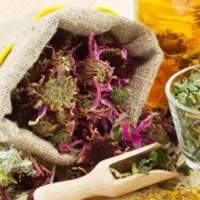 سرمایه گذاری استخدام بسته بندی زعفران .لباس .|استخدام صنعتی، فنی، مهندسی|سقز, |دیوار