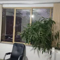 دفتر کار|فروش دفتر کار، اتاق اداری، مطب|میاندوآب, |دیوار