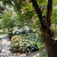 860مترکلنگی-قیطریه-مشارکت