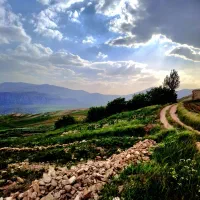 فروش-زمین