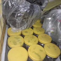 فروش خرمای خنیزی و مرداسنگ|خوردنی و آشامیدنی|رودان, |دیوار