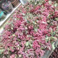 زرشک درجه یک قاین|خوردنی و آشامیدنی|مشهد, جاهد شهر|دیوار