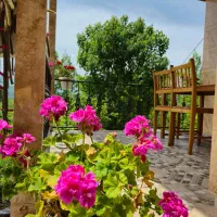 اجاره روزانه کلبه جنگلی|اجارهٔ کوتاه‌مدت ویلا و باغ|شیرگاه, |دیوار